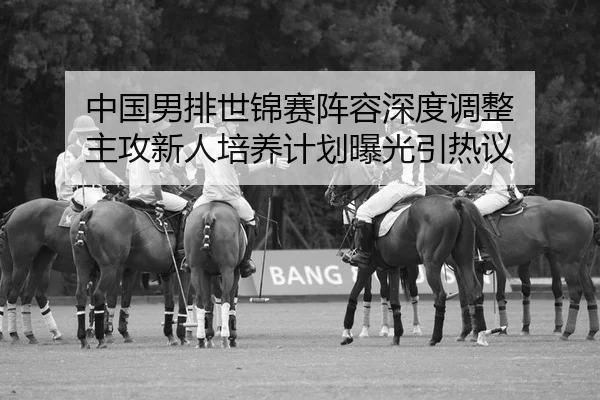 中国男排世锦赛阵容深度调整 主攻新人培养计划曝光引热议
